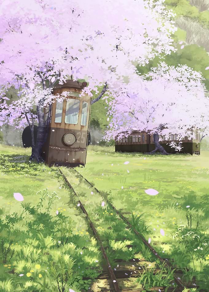Abandoned Train Carts with Cherry Blossoms