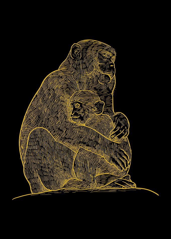 Monkey Mother and Child Illustration