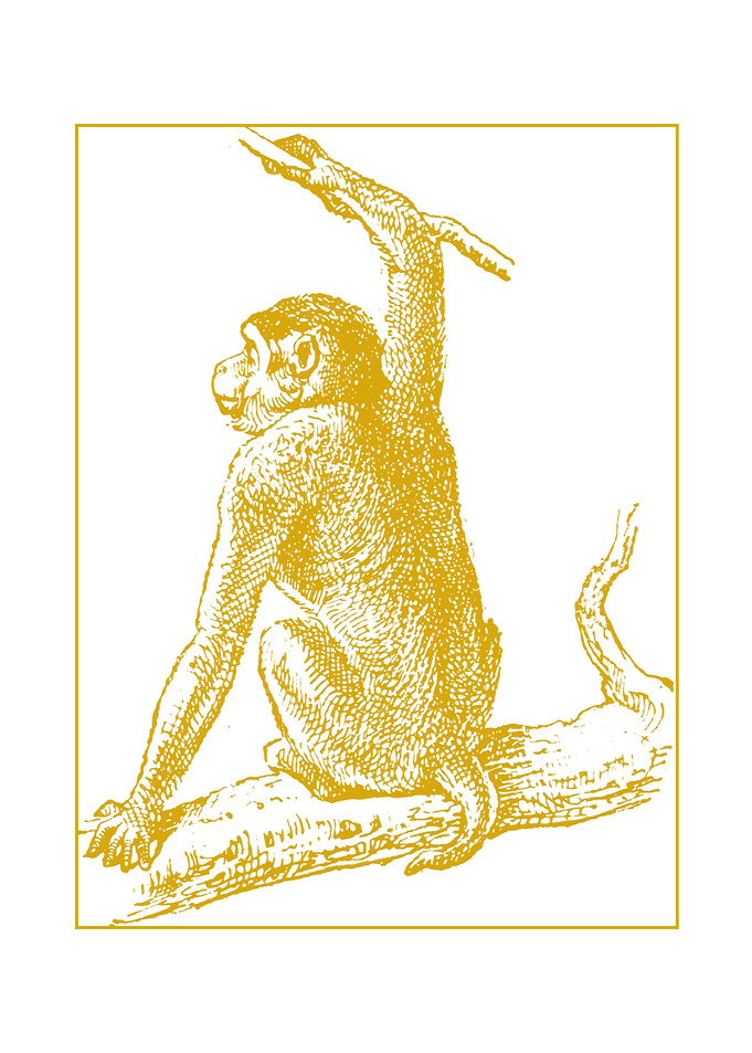 Monkey on Branch - Vintage Illustration