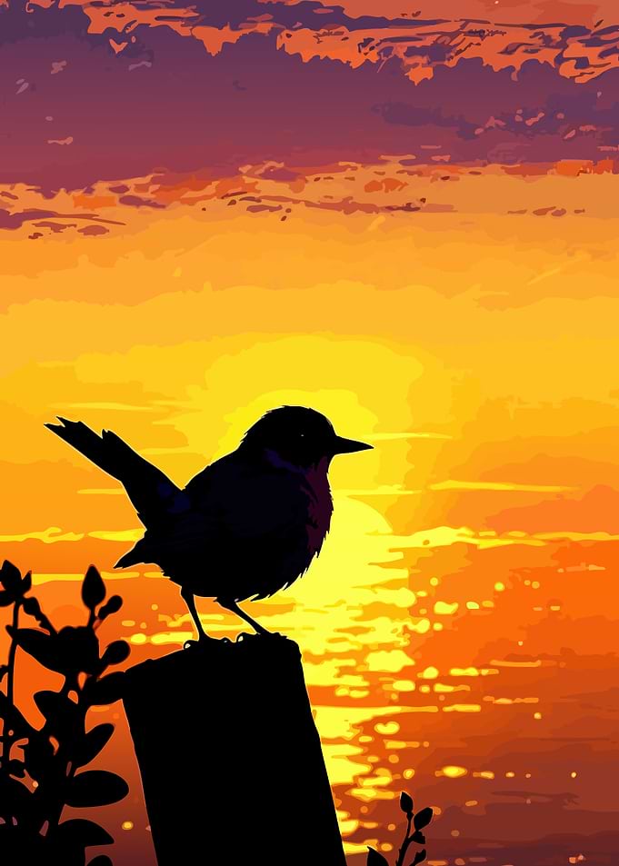 Bird Silhouette at Sunset
