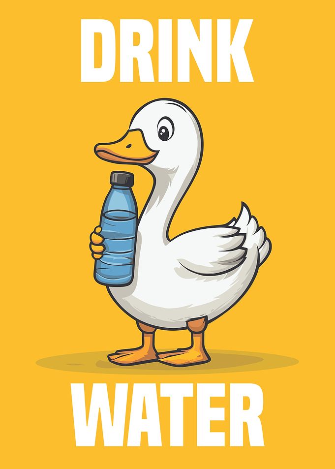 Duck Drink Water