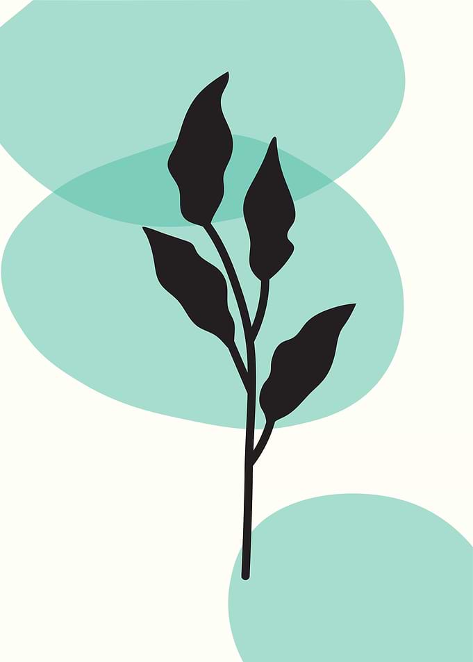Minimalist Plant Art with Teal Accents
