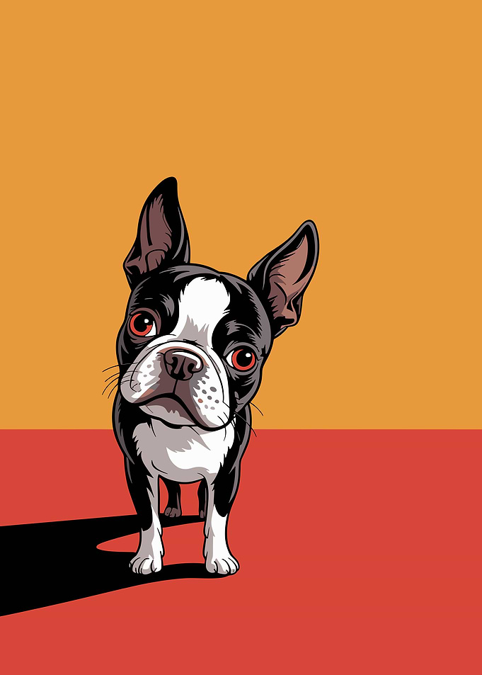 Boston Terrier Illustration