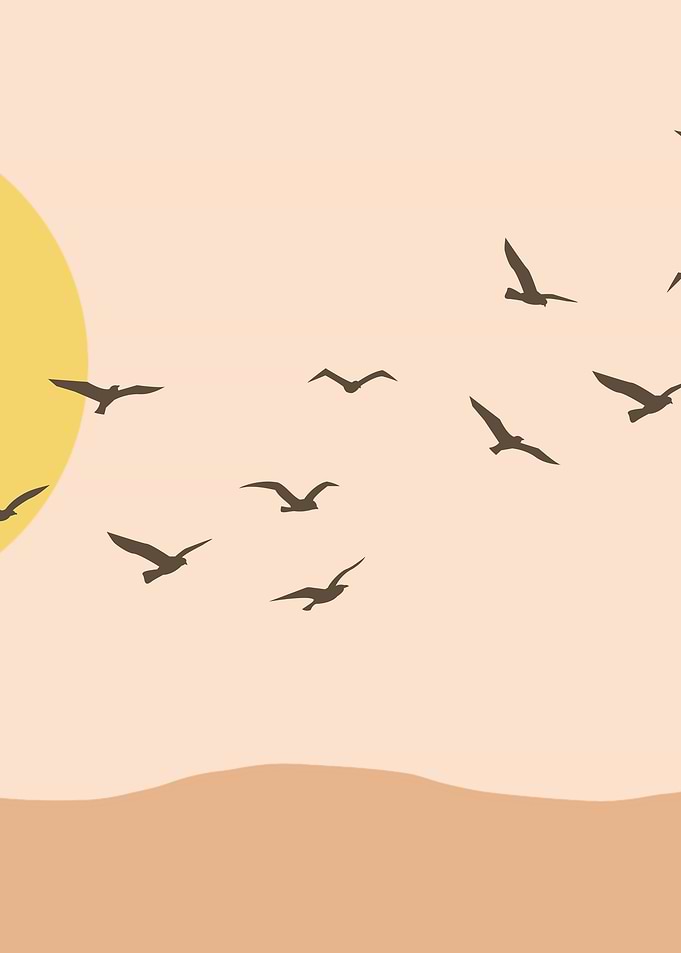 Birds Flying at Sunset Illustration