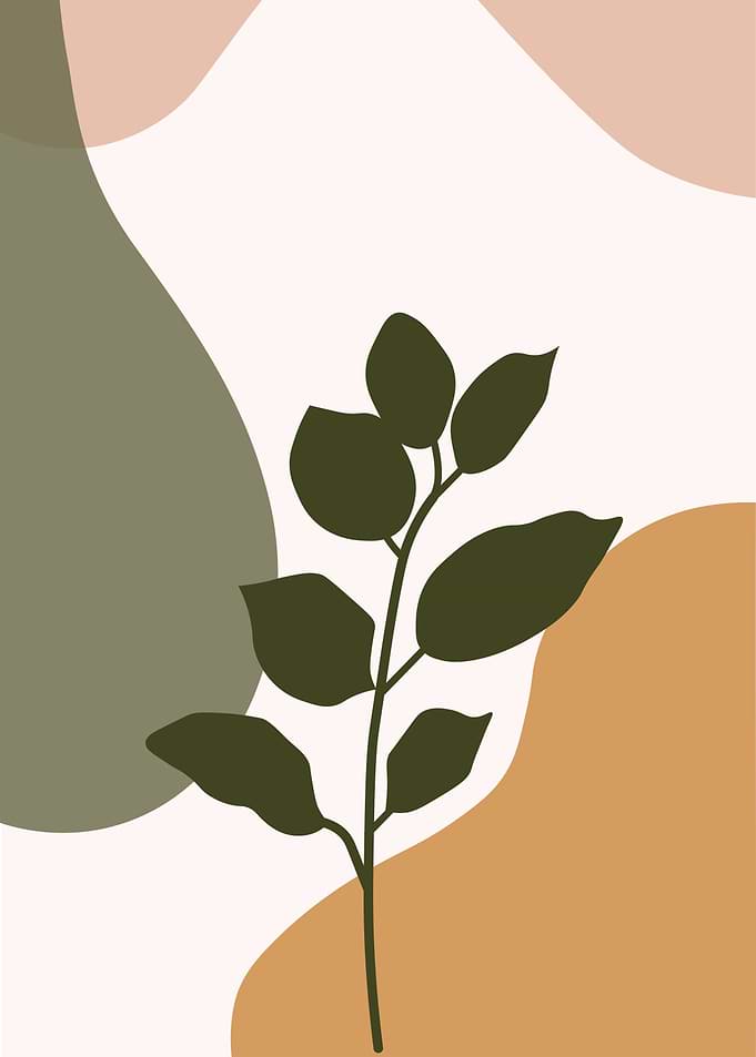 Minimalist Plant Art with Abstract Shapes