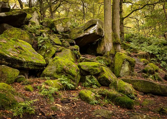 Padley Gorge Rocks