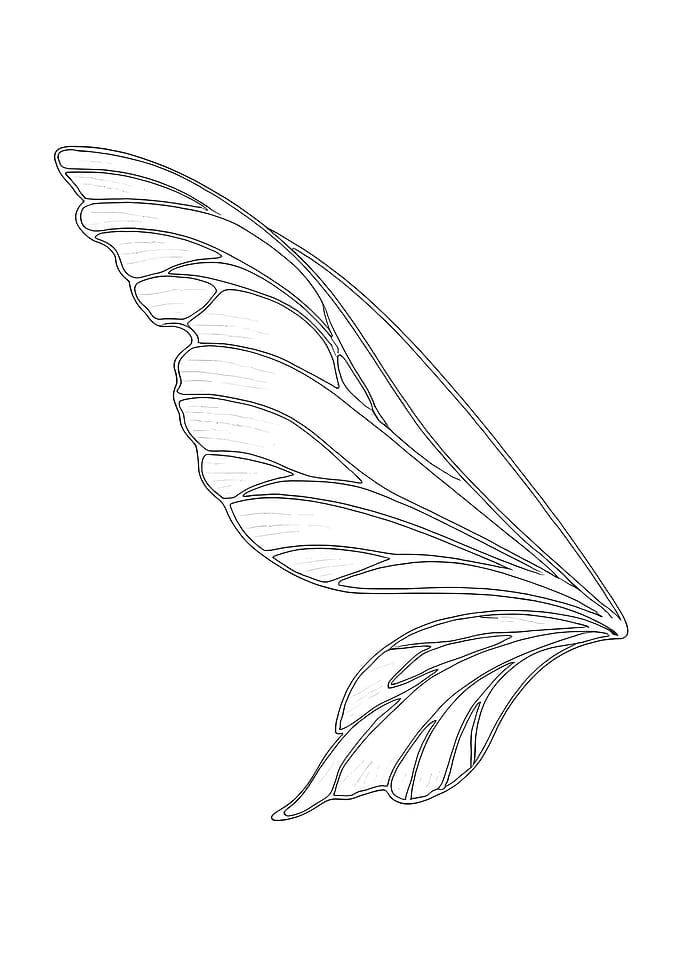 Fairy Wing Minimalist Line Art