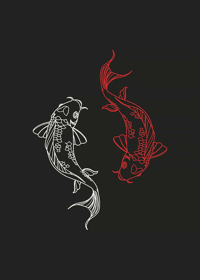 Red and White Koi Fish Illustration