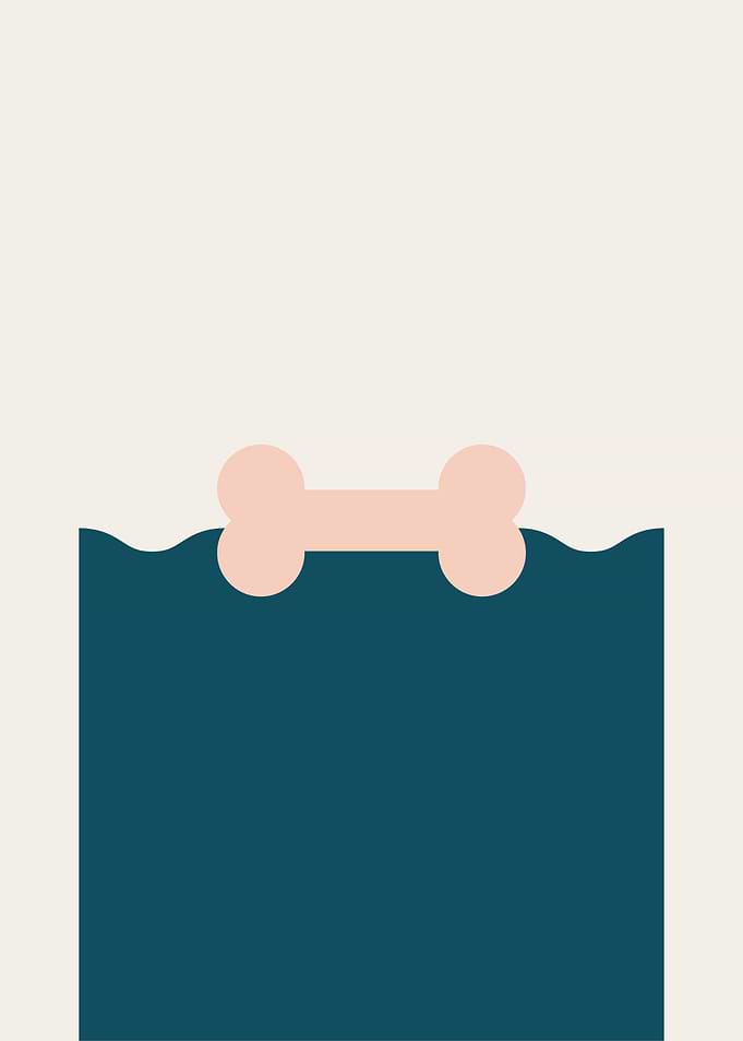 Minimalist Bone in Water Illustration