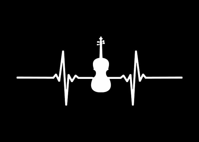 Violin