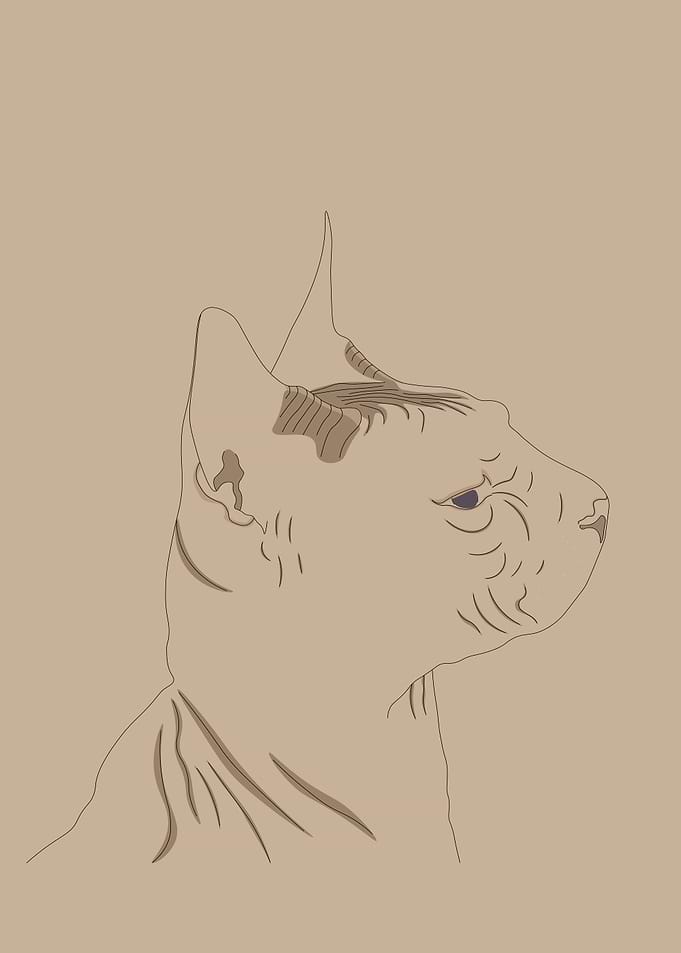 Minimalist Sphynx Cat Line Art Portrait