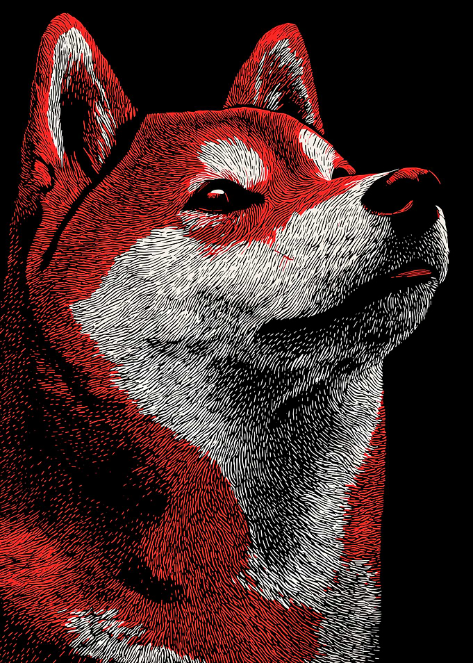 Red and White Shiba Inu Portrait