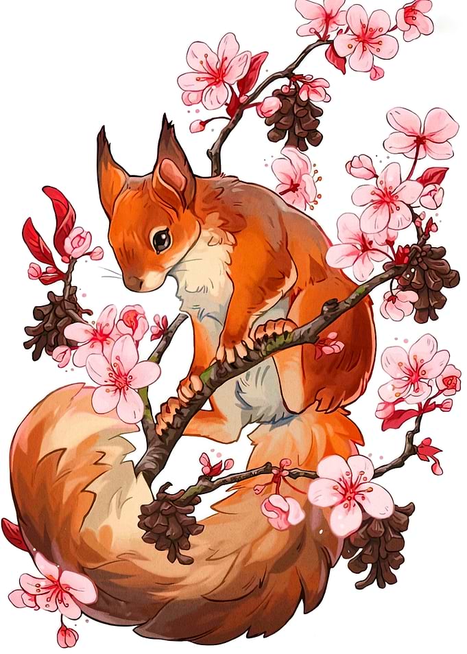 Squirrel with Cherry Blossoms Illustration