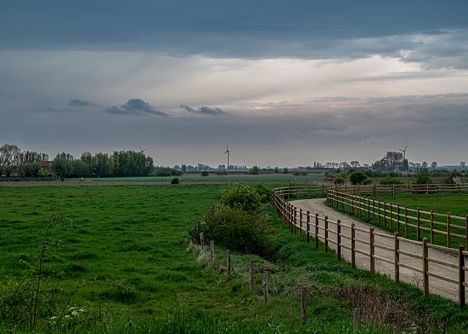 Rural Landscape with Fence and Windmills
