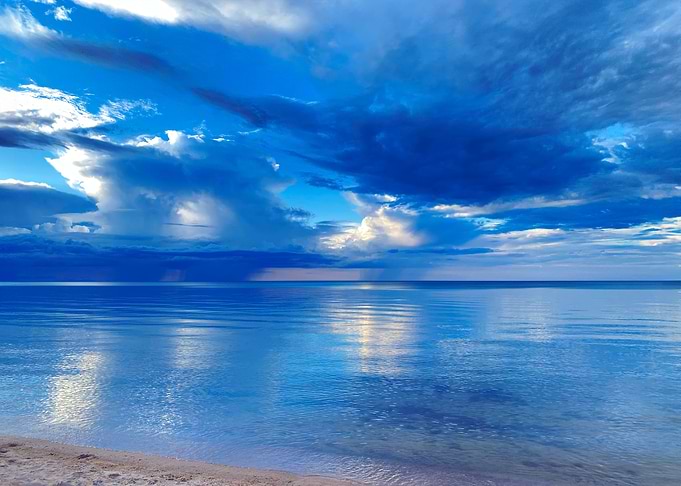 Bold Blues