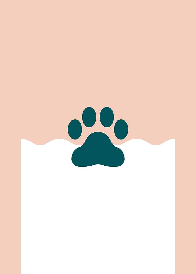 Minimalist Paw Print Design