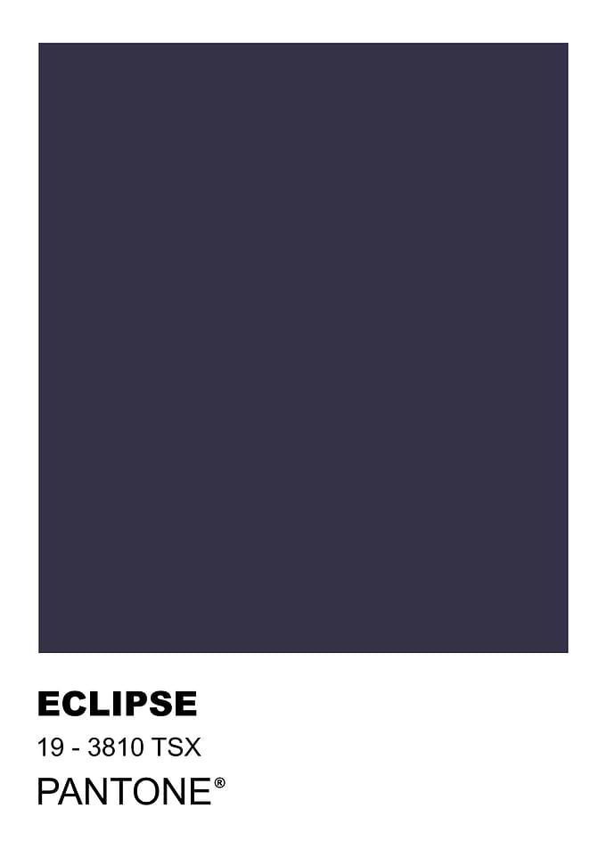 Pantone Eclipse 19-3810 TSX Color Swatch