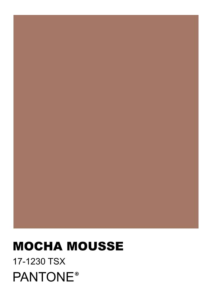 Mocha Mousse Pantone Color Swatch