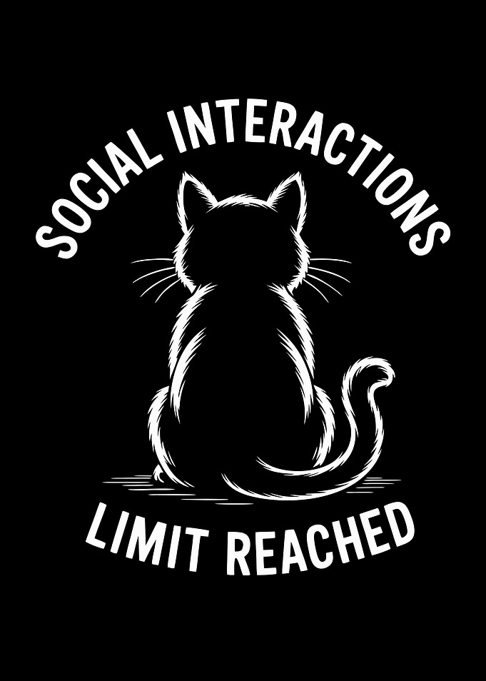 Social Interactions Limit Reached Introvert Cat