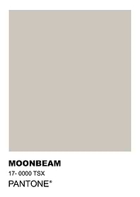 Pantone Moonbeam Color Swatch