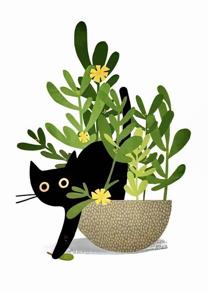 Black cat in a plant pot