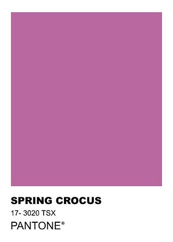 Pantone Spring Crocus Color Swatch