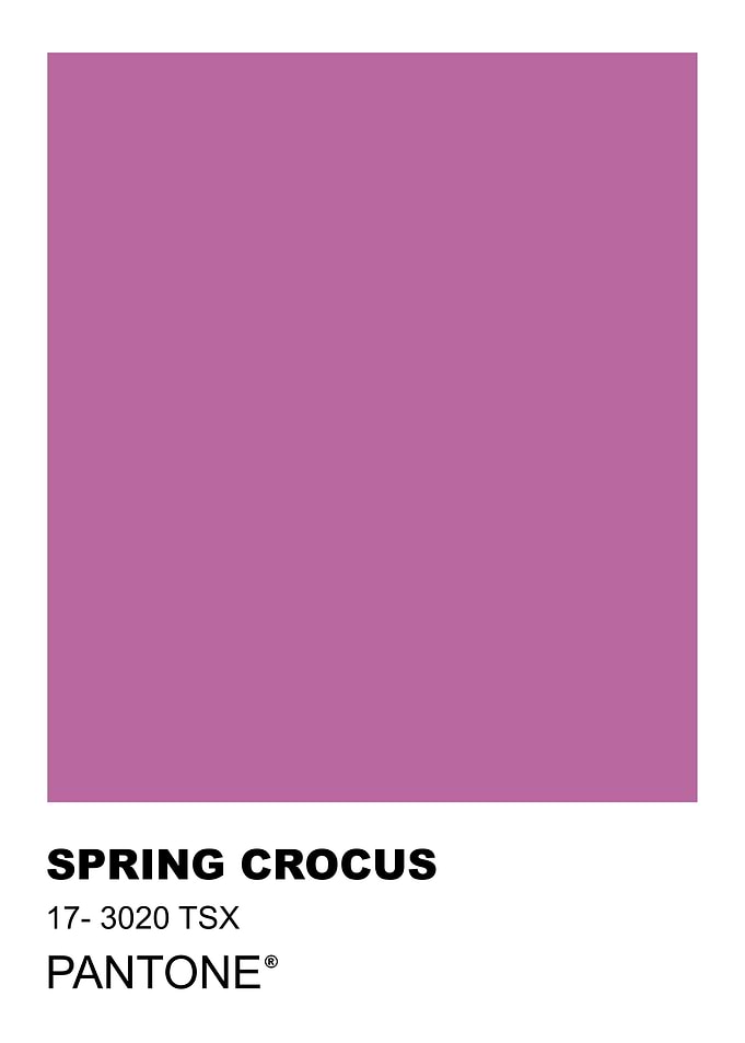 Pantone Spring Crocus Color Swatch