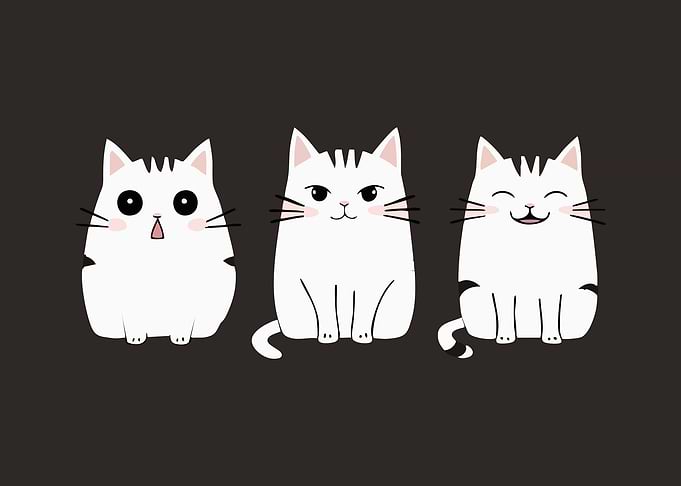 Three Cute Cartoon Cats