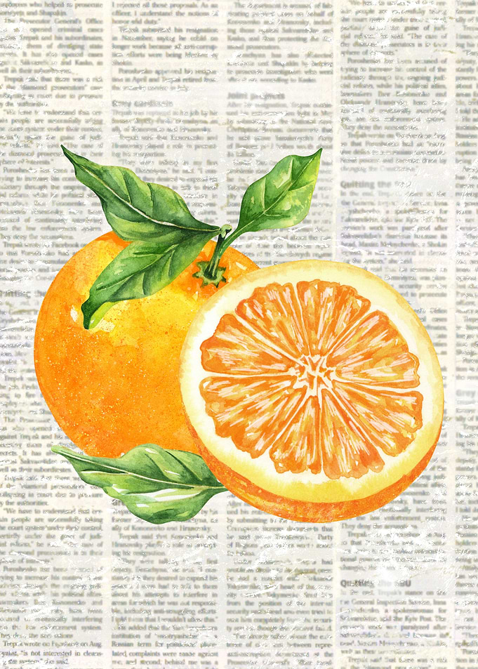 Oranges on Newspaper Watercolor Painting