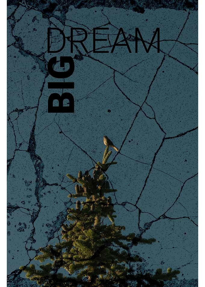 DreamBig