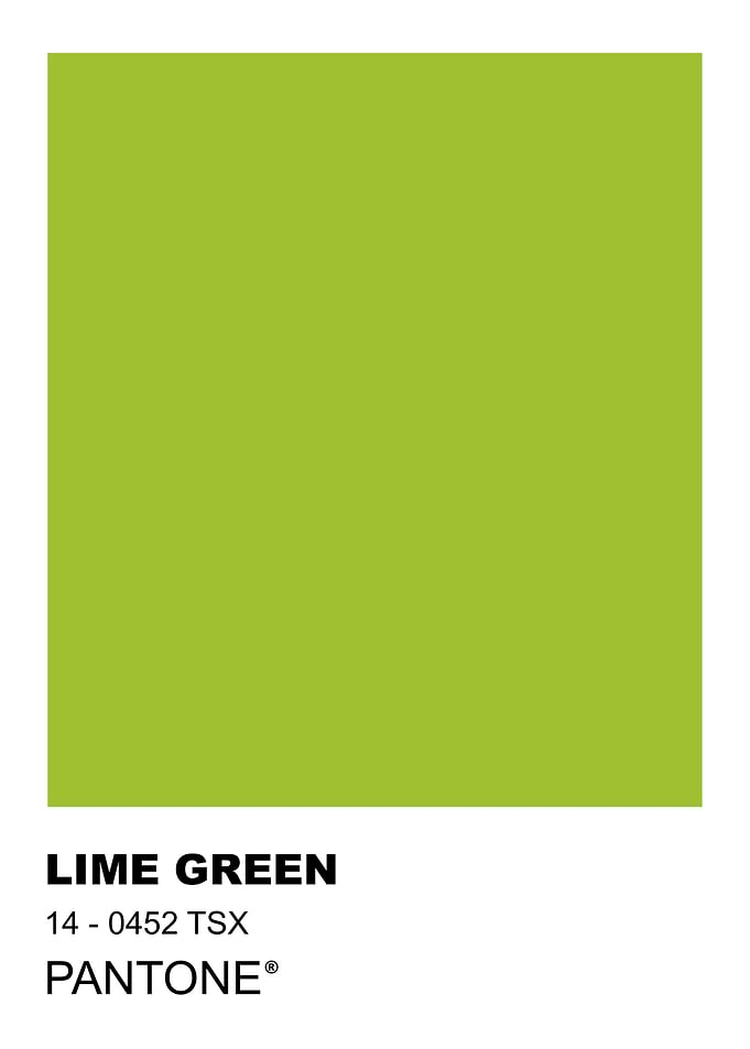 Lime Green Pantone Color Swatch
