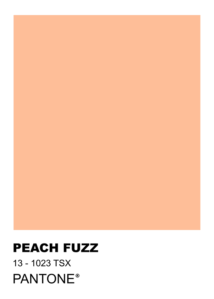 Pantone Peach Fuzz Color Swatch