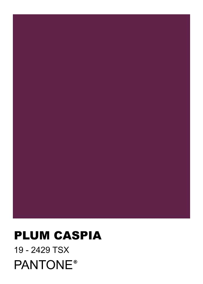 Plum Caspia Pantone Color Swatch