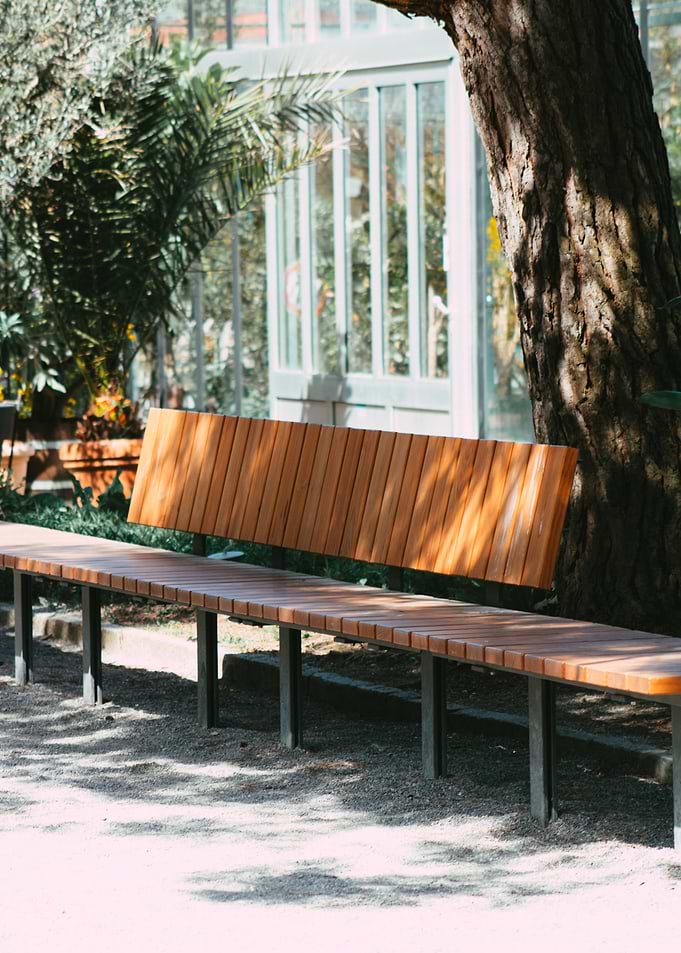 Wooden bench in a garden setting
