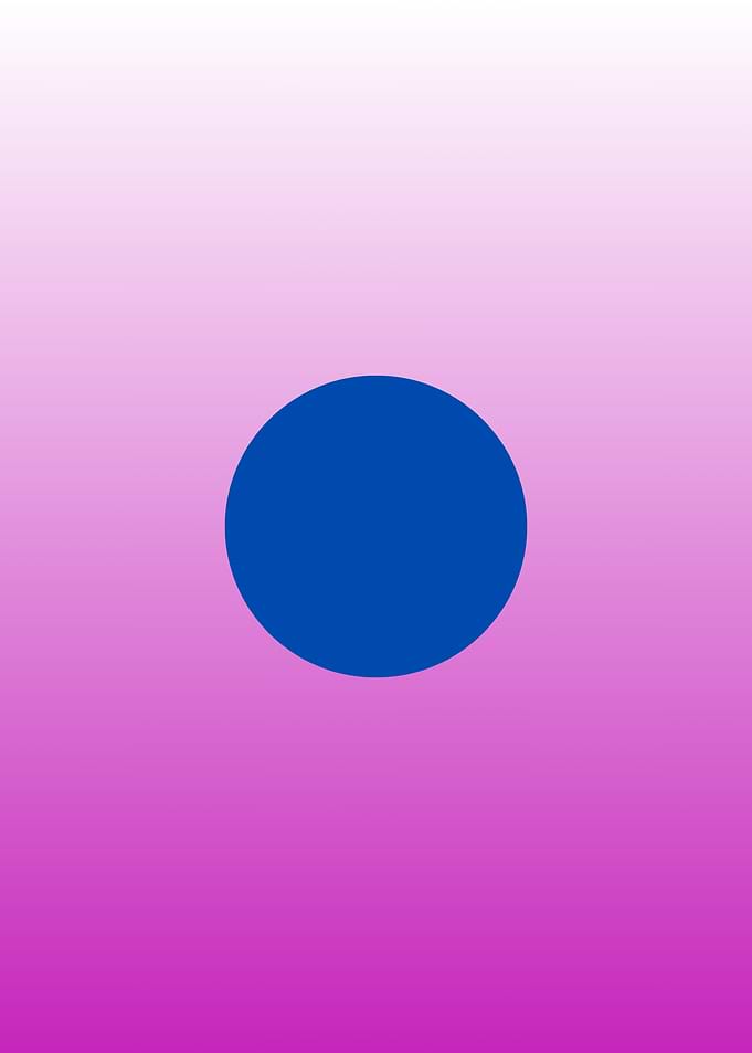 Customized Japan Flag