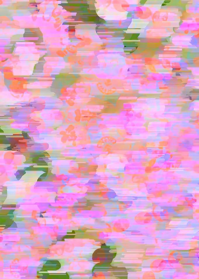 Pink Haze