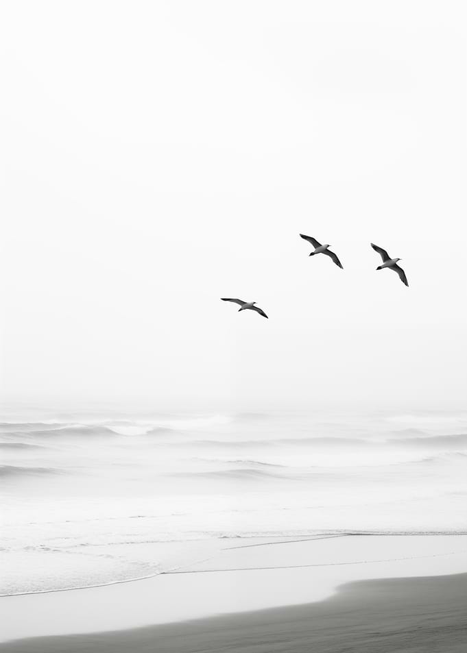 Seagulls Flying Over Ocean