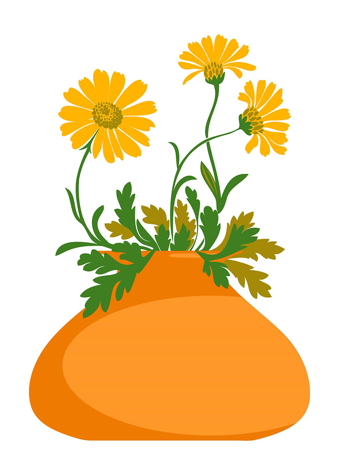 Yellow Flowers in Orange Vase Illustration