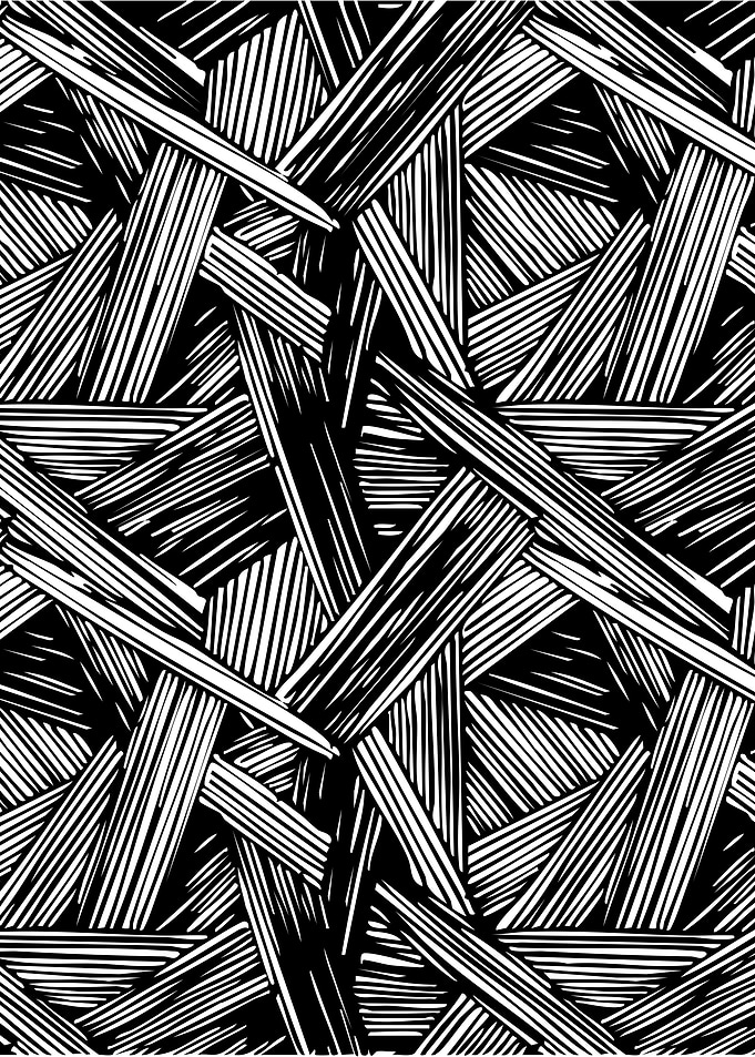 Abstract Black and White Line Pattern
