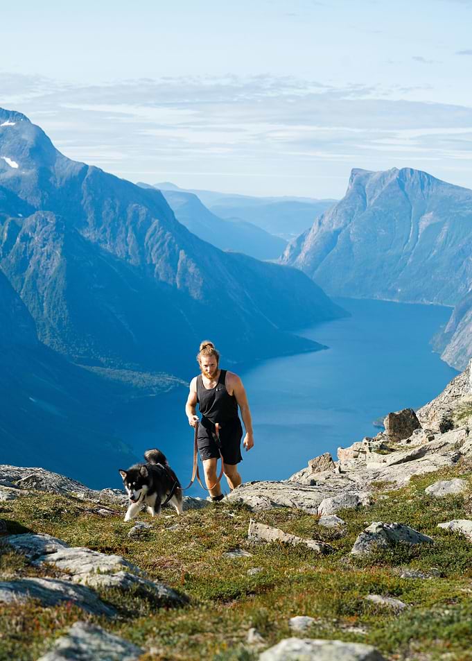 Man and Dog Hiking Mountain Landscape