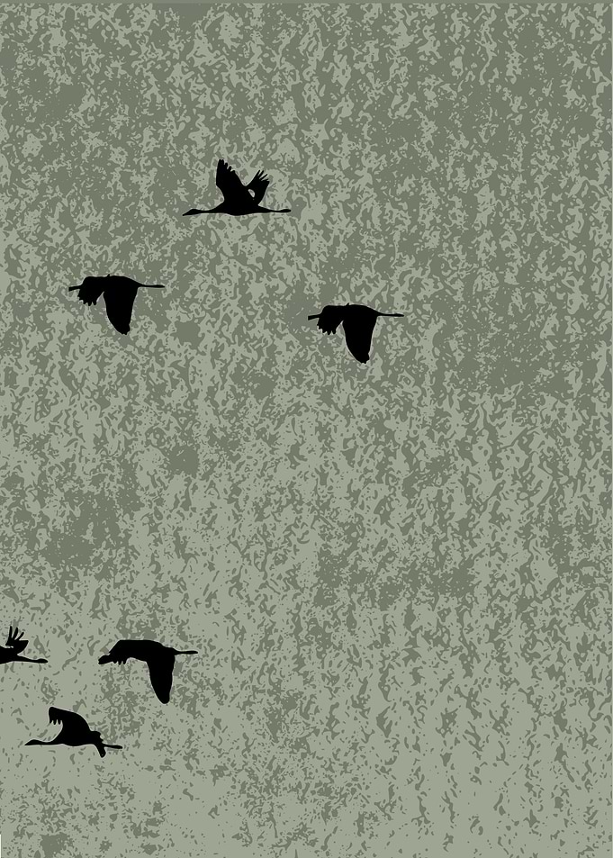 Sage Green Japandi 3