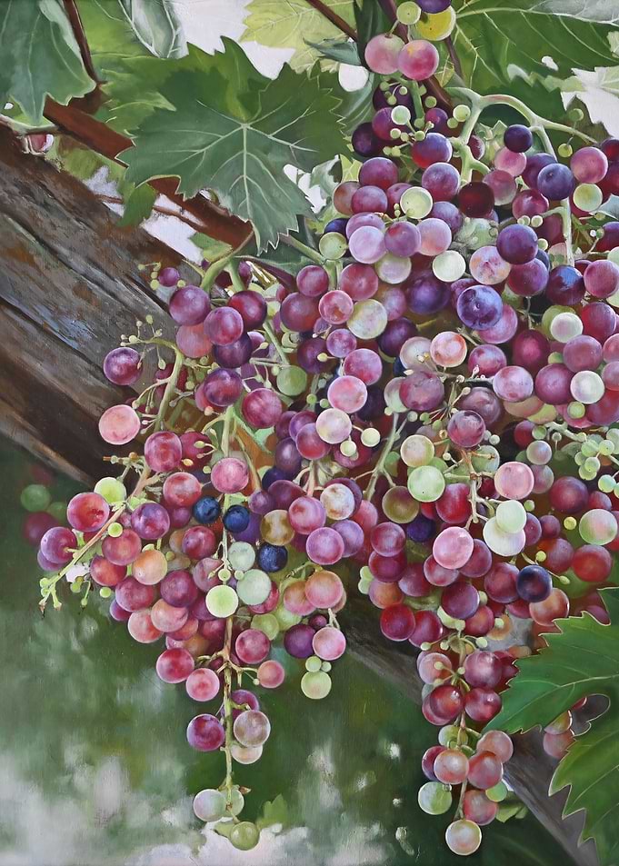 Painting of grapes on the vine