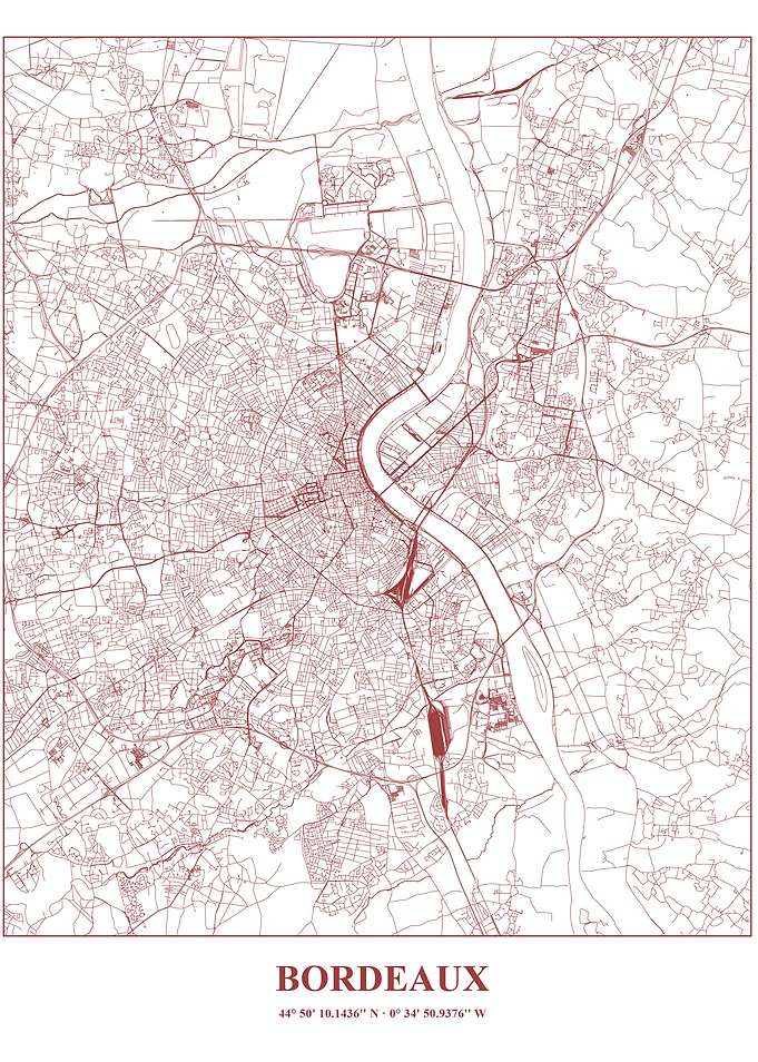 Bordeaux City Map - Detailed Line Art
