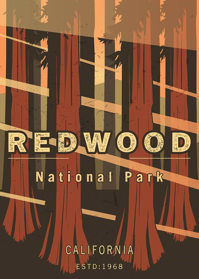 Redwood National Park Vintage Poster