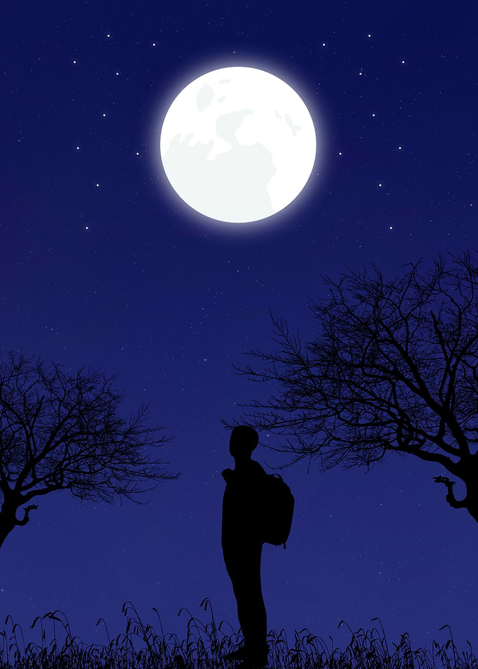Silhouette under the Moonlit Sky