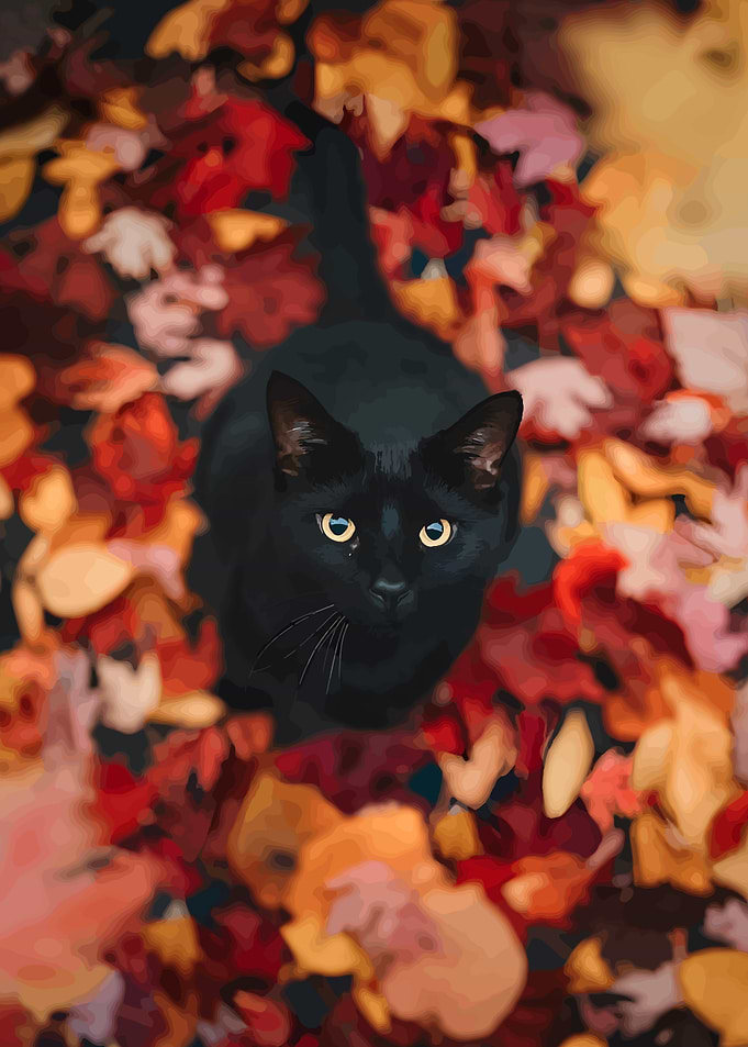 Black cat in autumn leaves