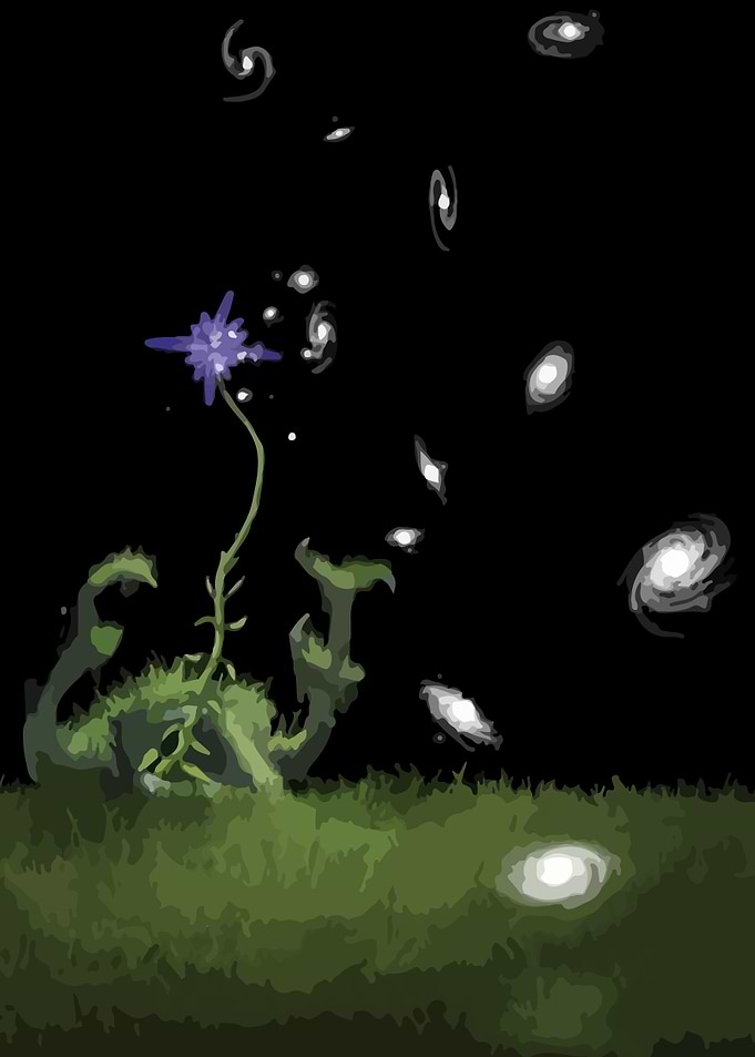 Cosmic Flower in a Dark Field