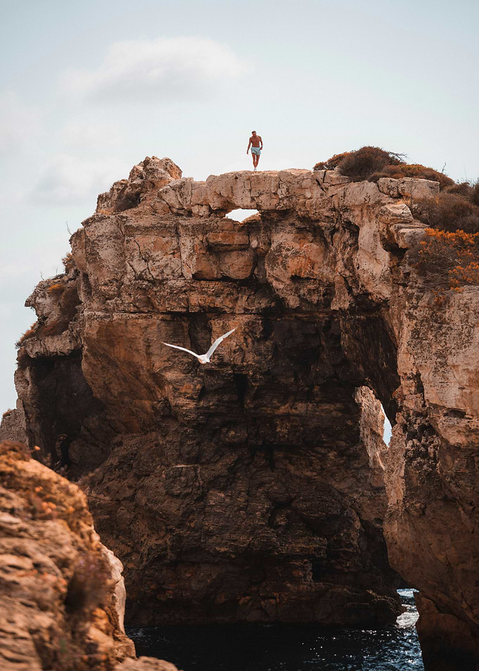 Man on Rock Formation with Seagull