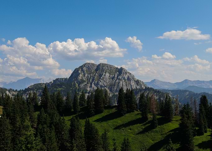 Mountain Landscape with Evergreen Trees