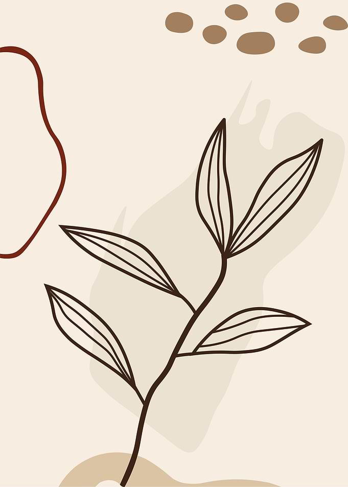 Minimalist Botanical Illustration with Abstract Shapes